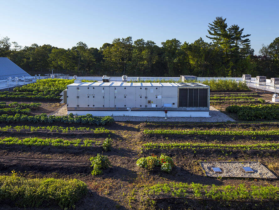 exergy energy backup generator green energy